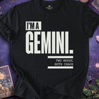I Am Gemini T-Shirt