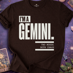 I Am Gemini T-Shirt