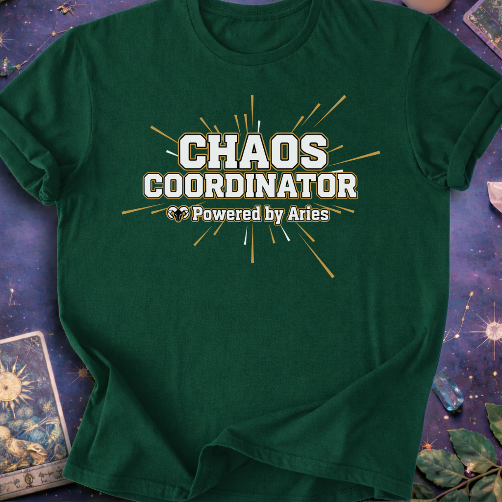 Aries Chaos Coordinator T-Shirt