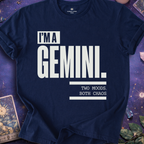 I Am Gemini T-Shirt