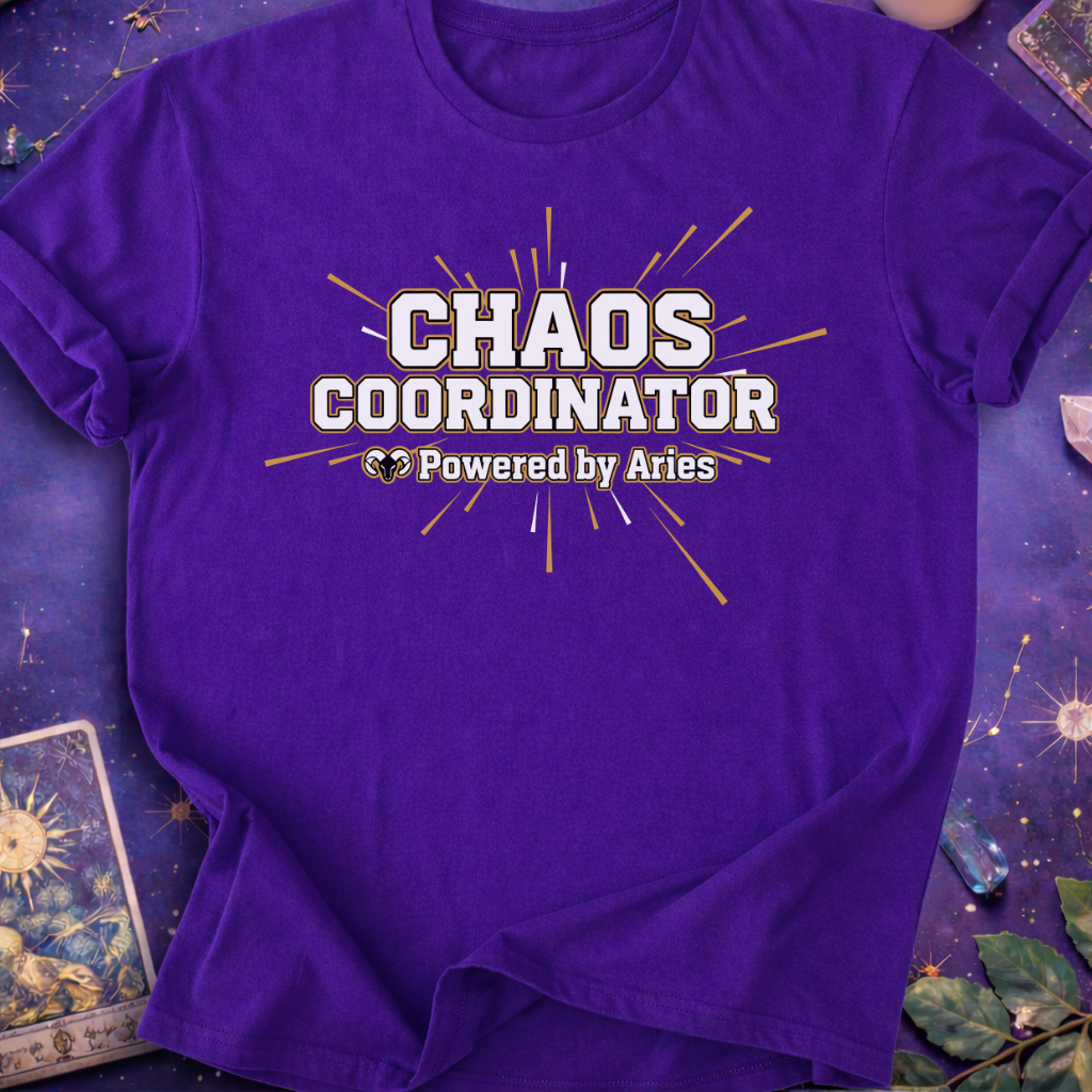 Aries Chaos Coordinator T-Shirt