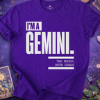 I Am Gemini T-Shirt