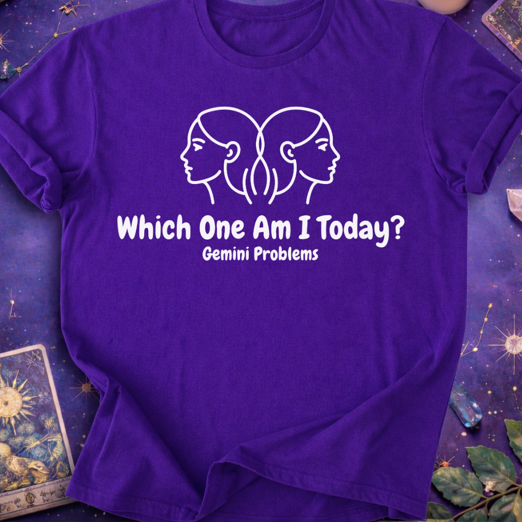 Gemini Which One Am I Today? T-Shirt